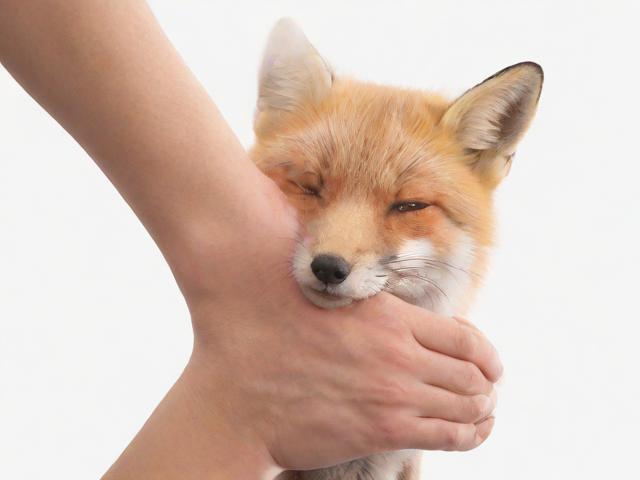 杭州狐臭怎么治疗最好?专业解析杭州狐臭最佳治疗方案 杭州狐臭怎么治疗最好?专业解析杭州狐臭最佳治疗方案